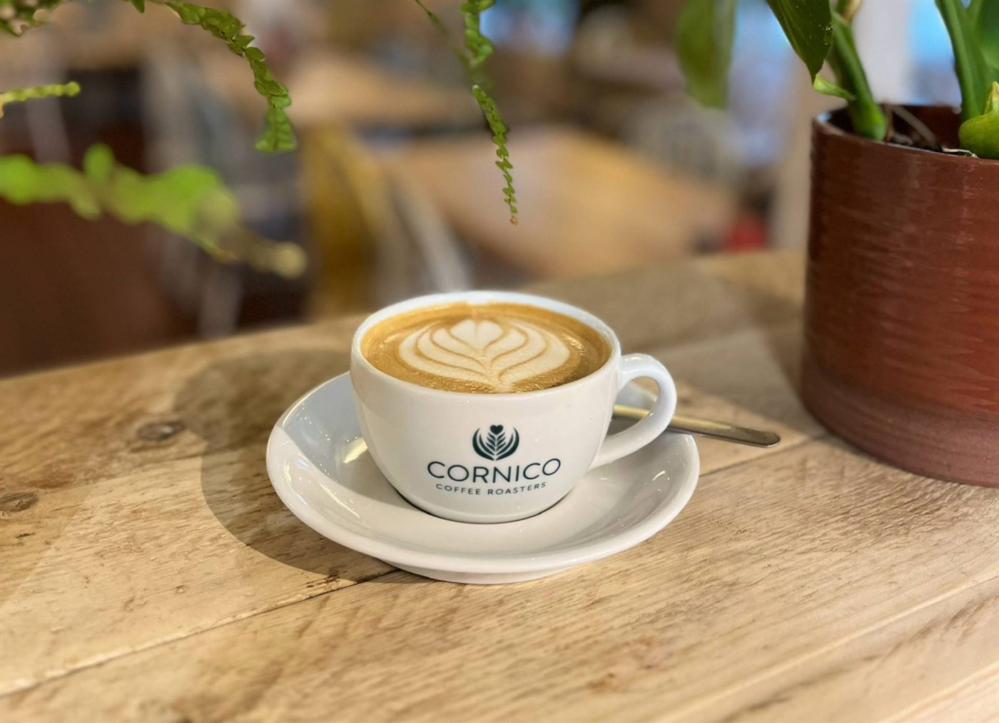 A cup of barista coffee beside leafy cafe plants